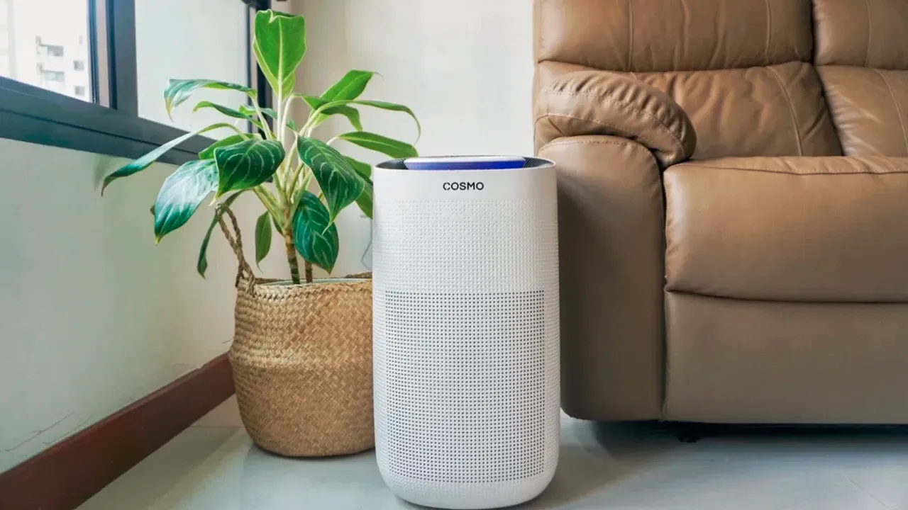 pork chops with cream sauce