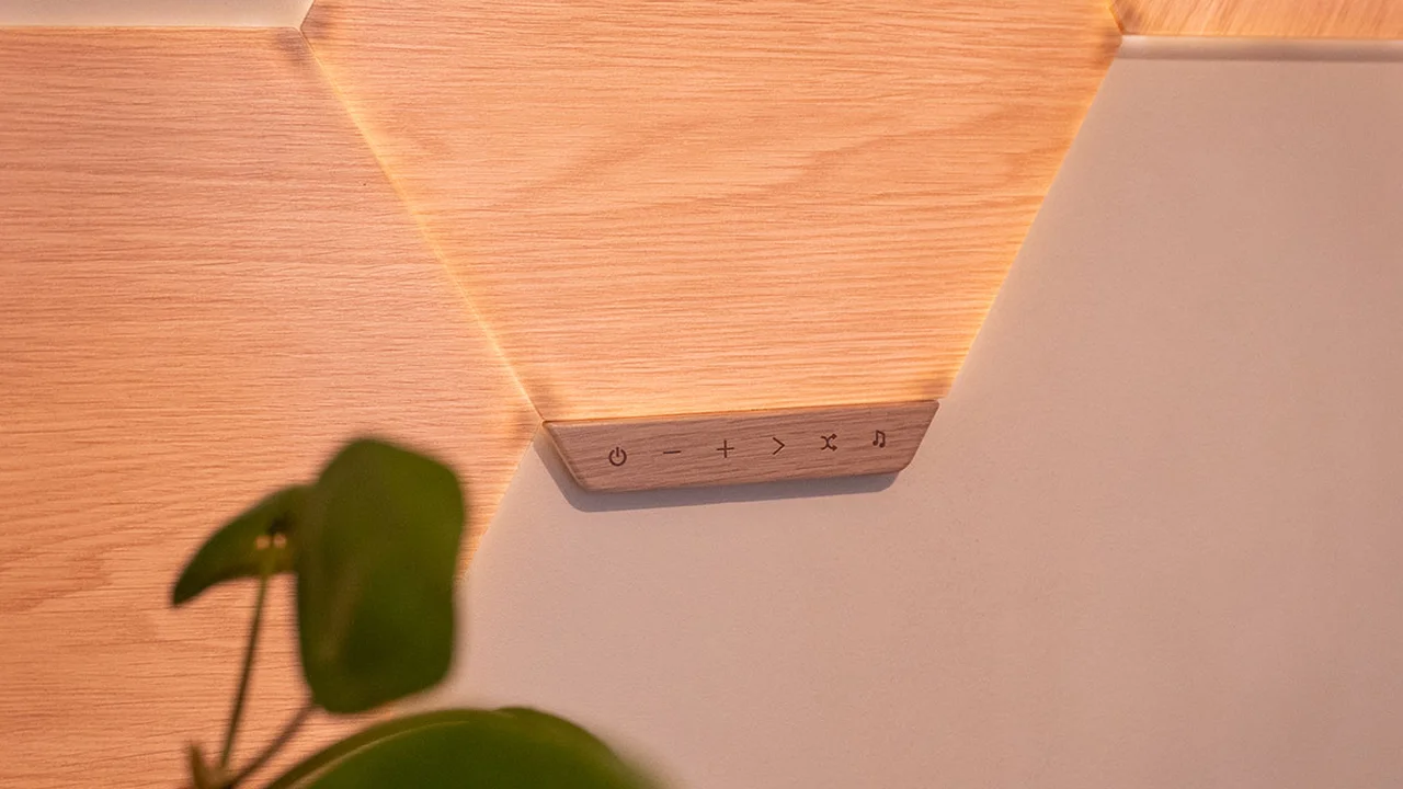 pork chops with cream sauce